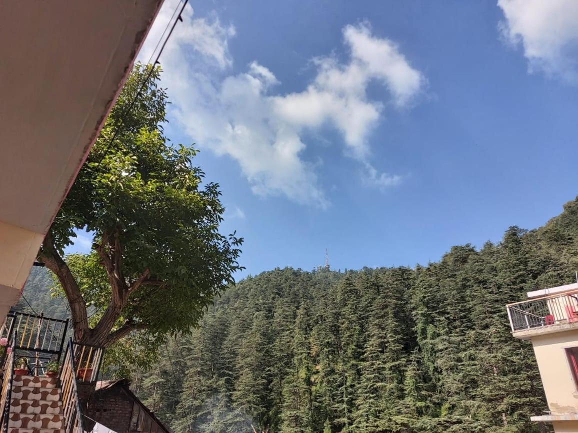 Shimla Pines Homestay المظهر الخارجي الصورة