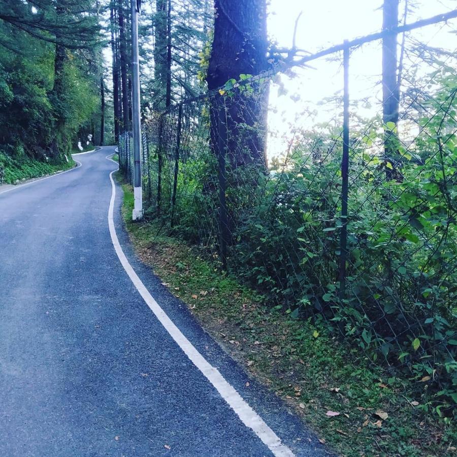 Shimla Pines Homestay المظهر الخارجي الصورة
